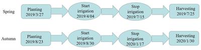 The layout measures of micro-sprinkler irrigation under plastic film regulate tomato soil bacterial community and root system